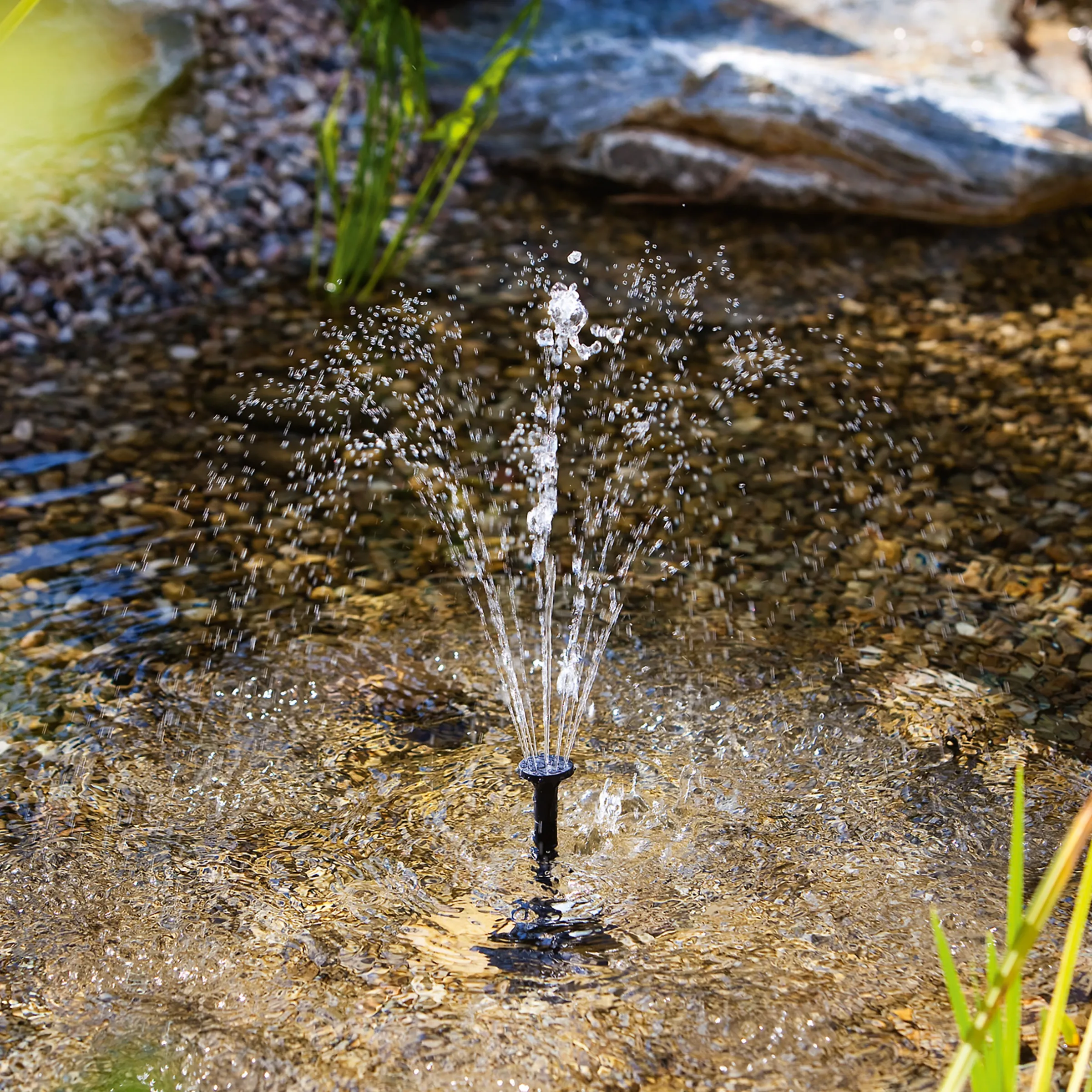 Einzelpumpe Fountain 330/450 mit Trockenlaufschutz