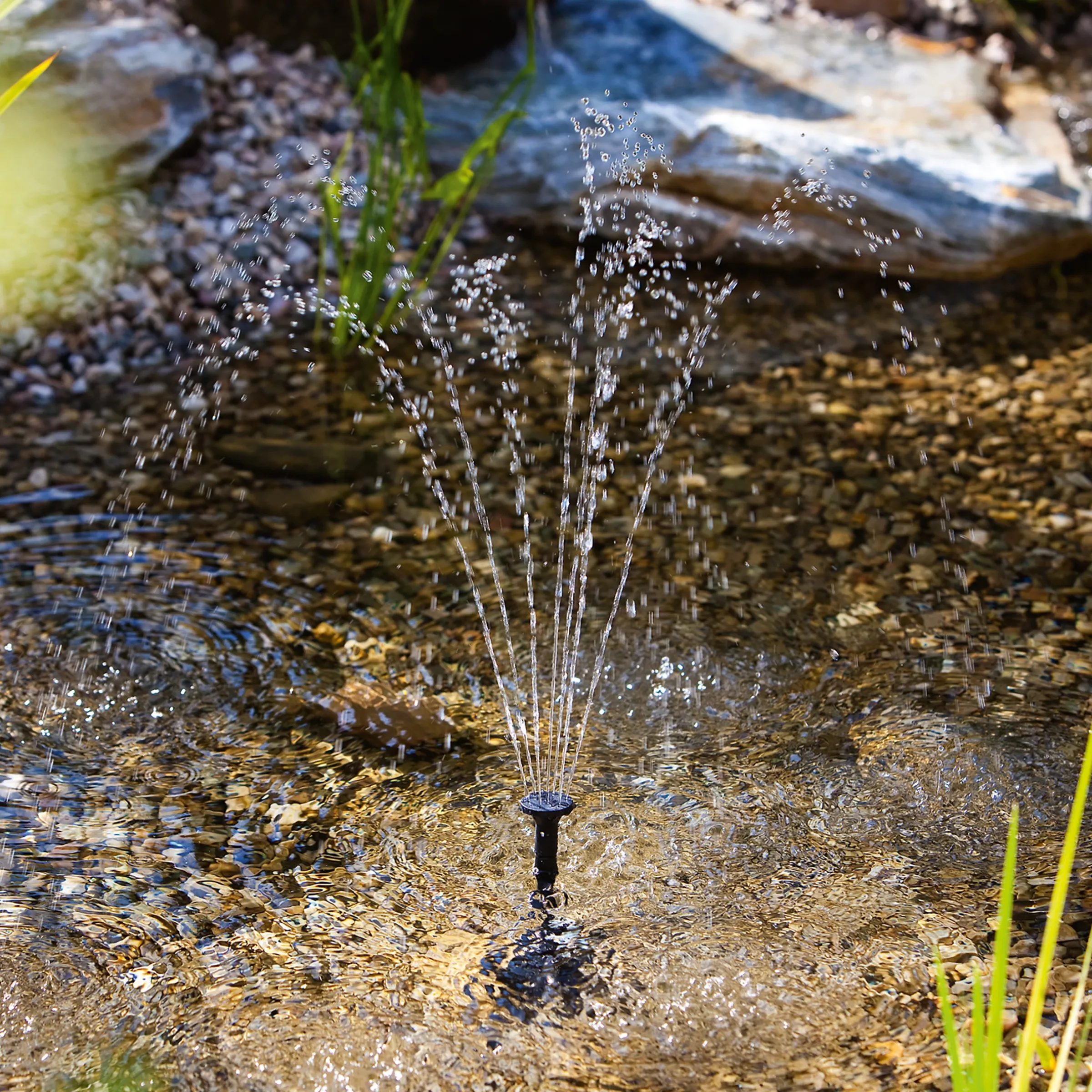 Einzelpumpe Fountain 330/450 mit Trockenlaufschutz