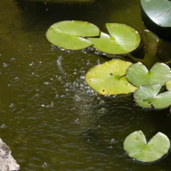 Schwimmender Solar Teichbelüfter 1,8/120