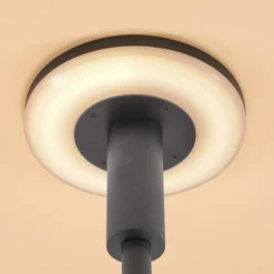 Solar Sensor Lese- und Tischleuchte Talino, dimmbar