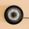 Solarstrahler Multispot Basic mit 3 Strahlern, 60 lm warmweiß