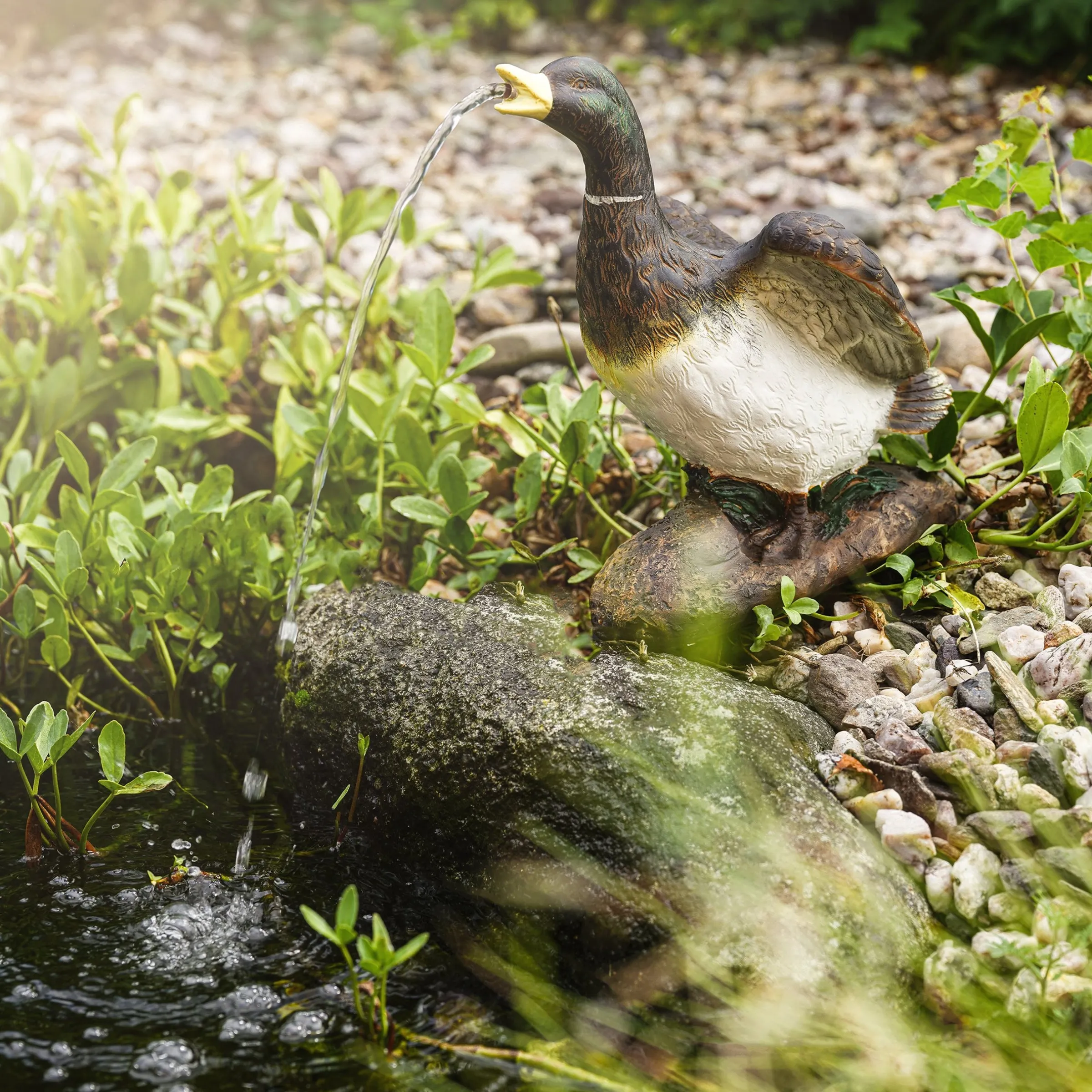 Solar Wasserspeier-Set Enterich