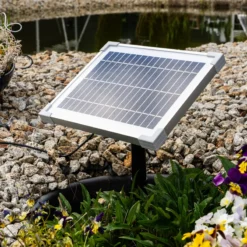 Solar Wasserspeierset Frosch Bruno & Pip