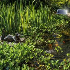 Solar Wasserspeier-Set liegender Frosch