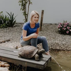 Solar Wasserspeierset Schildkröte Maru