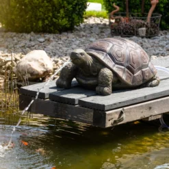 Solar Wasserspeierset Schildkröte Maru