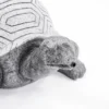 Solar Wasserspeier-Set Schildkröte