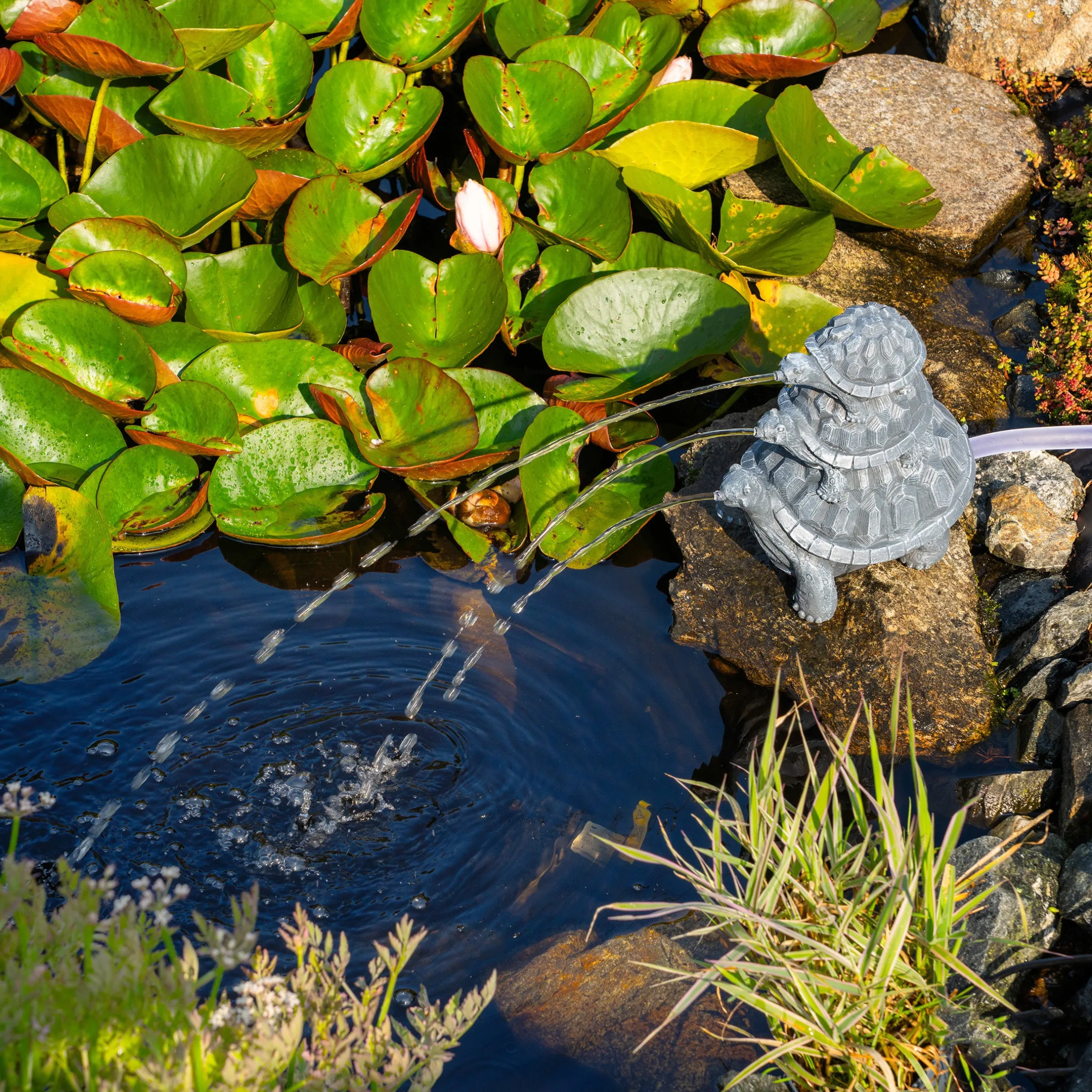 Solar Wasserspeierset Schildkröten Trio