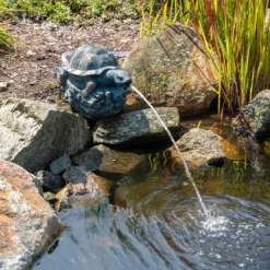 Solar Wasserspeier-Set Schildkröte Marlies