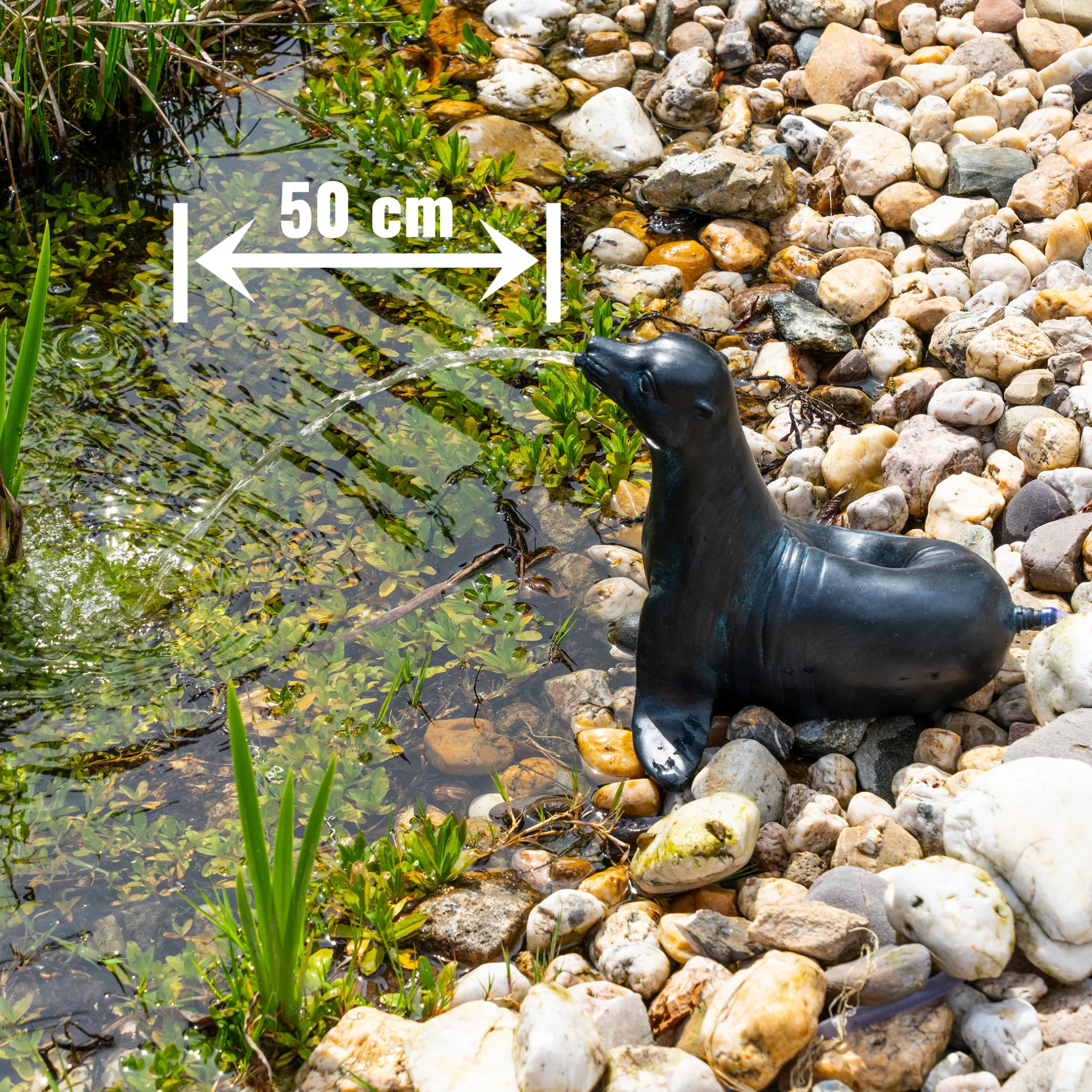 Solar Wasserspeierset Seehund Sammy