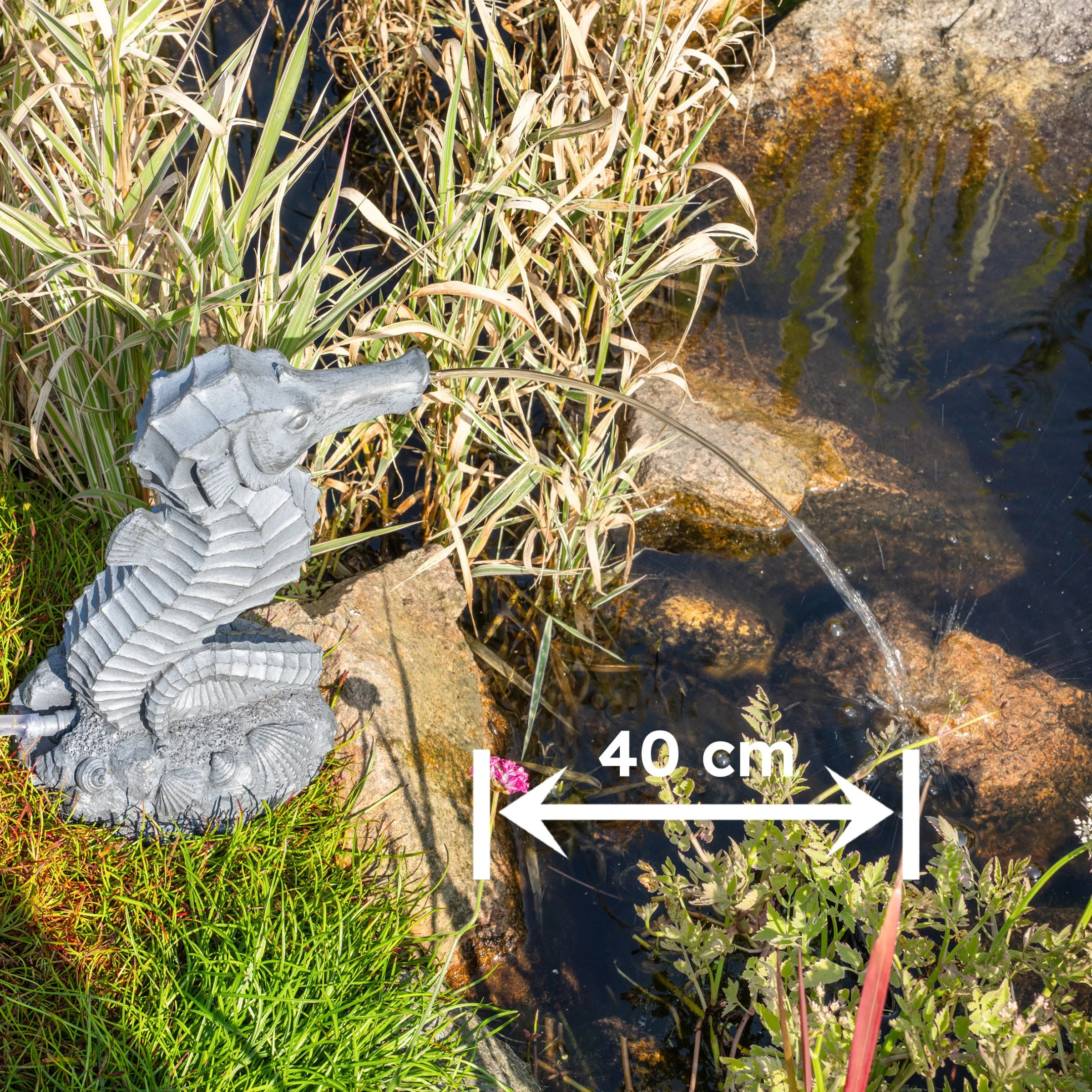 Solar Wasserspeier-Set Seepferdchen Ida
